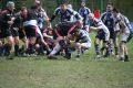 RUGBY CHARTRES 191.JPG